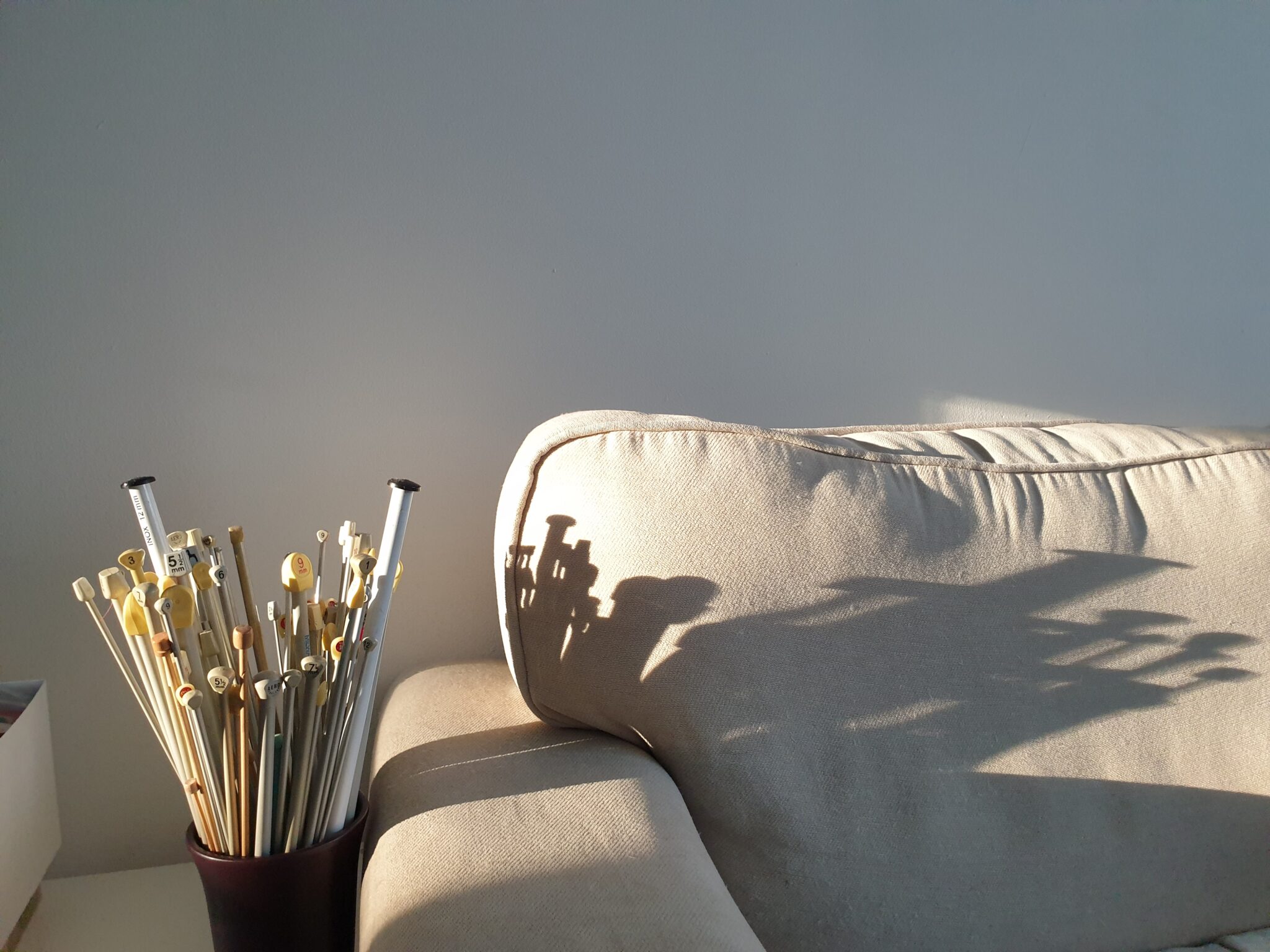 afternoon shadows